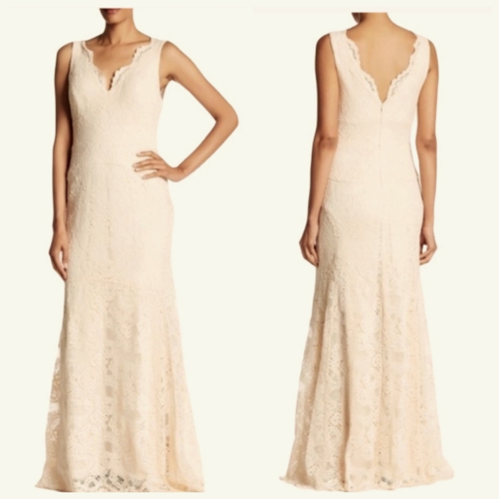 Nwt Nicole Miller Ny Blush Lace Sleeveless Evening Gown